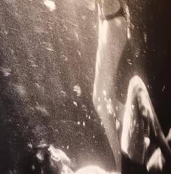 CRUMB GALLERY, Firenze orari di apertura