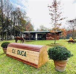 Circolo Ippico Duca, Verolengo orari di apertura