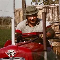 Pollaio di Cesare, Codigoro orari di apertura