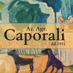 Azienda Agricola Caporali, Tribano orari di apertura