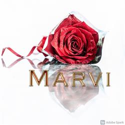 MARVI, Andria orari di apertura
