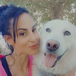 Love Dog, Roccacasale orari di apertura