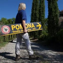 FATTORIA POMONA - Azienda vinicola biologica vendita e degustazioni Chianti Classico, Castellina in Chianti orari di apertura