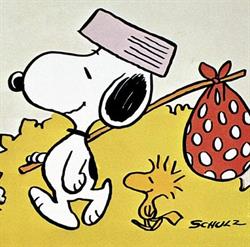 Snoopy And Co - Pet Shop, alimenti ed oggetti per animali, Novi Ligure orari di apertura