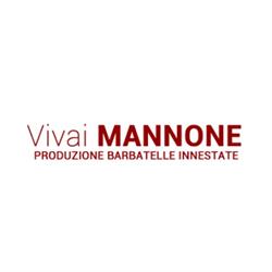 Vivai Mannone Srl, Petrosino orari di apertura