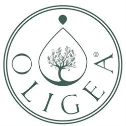 OLIGEA SRL, Massarosa orari di apertura