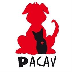 Pacav, Origgio orari di apertura