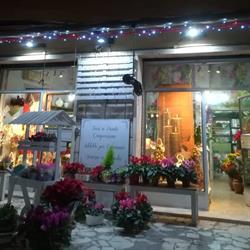 Regina Di Fiori, Guidonia Montecelio orari di apertura