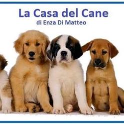 La casa del cane, Alvignano orari di apertura