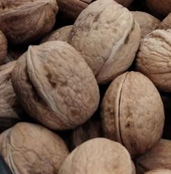 Colori E Sapori Alimentari Ortofrutta E Prodotti Tipici Campani, Boretto orari di apertura