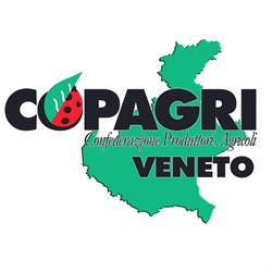 Copagri Veneto, Cerea orari di apertura