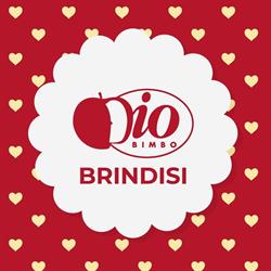 Io Bimbo Brindisi, orari di apertura