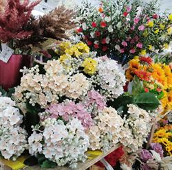Il Baule Market, Este orari di apertura