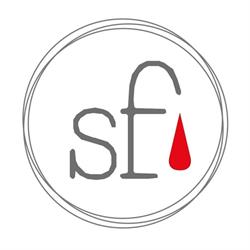 Salotto Fotografico Foligno, orari di apertura