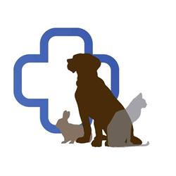 Clinica Veterinaria LISaVet, Caronno Pertusella orari di apertura