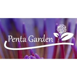 Penta Garden, Novara orari di apertura