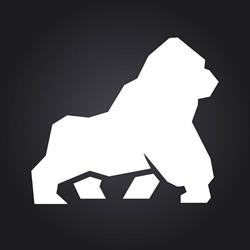 Silverback - Web Marketing Strategico, Firenze orari di apertura