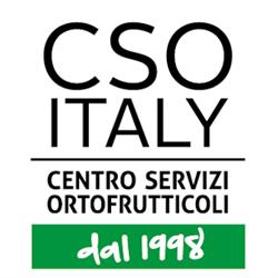 CSO ITALY - Centro Servizi Ortofrutticoli, Ferrara orari di apertura
