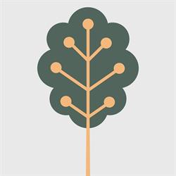 Brainwise, Castelfranco Veneto orari di apertura