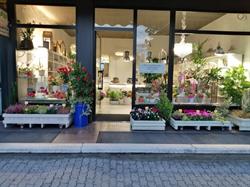Fiorista Varese Green Street, Cardano al Campo orari di apertura