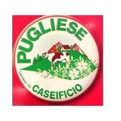Punto Vendita Pugliese Conrado Srl, Leinì orari di apertura