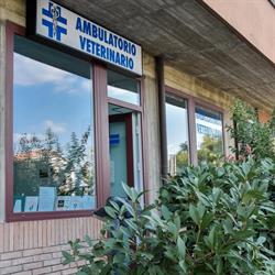 AMBULATORIO VETERINARIO BELLETTATI, San Lazzaro di Savena orari di apertura