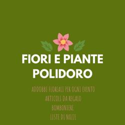 Fiori e piante articoli da regalo Polidoro, Banzi orari di apertura