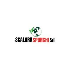 SCALORA SPURGHI SRL (Trasporto Acqua Potabile,Spurgo Pozzi Neri e Fosse Imhoff, Siracusa orari di apertura