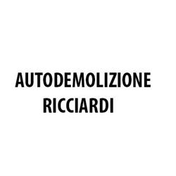 Autodemolizione Ecologica Ricciardi, San Severo orari di apertura