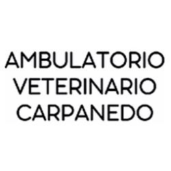 Ambulatorio Veterinario Carpanedo, Albignasego orari di apertura
