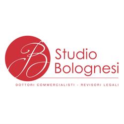Bolognesi Francesco Dottore Commercialista, Suzzara orari di apertura
