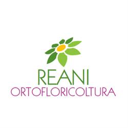 Ortofloricoltura Reani, Nogara orari di apertura