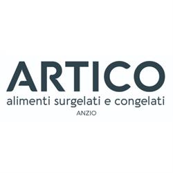 Artico Alimenti Surgelati e Congelati, Anzio orari di apertura