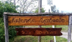 Azienda Agricola San Donnino, Vicchio orari di apertura