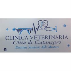Clinica Veterinaria Città di Catanzaro, orari di apertura