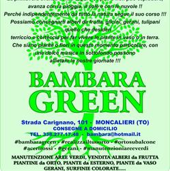 Bambara Green, Moncalieri orari di apertura