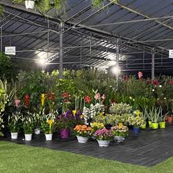 Il Giardino Verde, Gonnostramatza orari di apertura