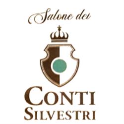 Salone dei Conti Silvestri, Rovigo orari di apertura