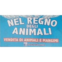 Nel Regno degli Animali, Casoria orari di apertura