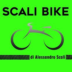 Scali Bike di Scali Alessandro - Biciclette Viareggio, orari di apertura