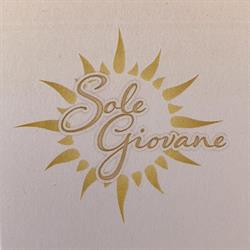 CENTRO ESTETICO SOLE GIOVANE, Torino orari di apertura