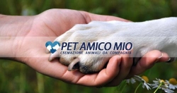 Pet Amico Mio - Cremazione Animali -Onoranze Funebri per animali - Toscana & la Spezia Viareggio, X Campo D'aviazione - Orari di apertura