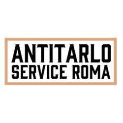 Antitarlo Services Roma, orari di apertura