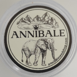 Annibale Seedshop, Pinerolo orari di apertura