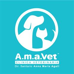 A.M.A.Vet Clinica Veterinaria, Caluso orari di apertura