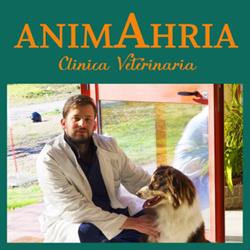 AnimAhria - clinica veterinaria, Calcinato orari di apertura
