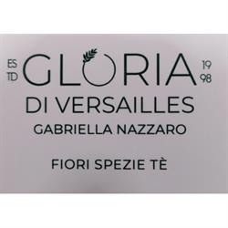 Gloria di Versailles, Cassino orari di apertura
