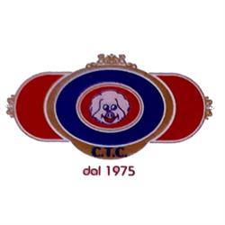 C.T.C. Centro Trasformazione Carni, Potenza orari di apertura