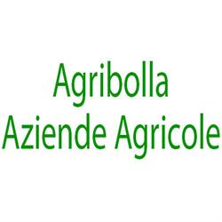 Agribolla Aziende Agricole, Nettuno orari di apertura