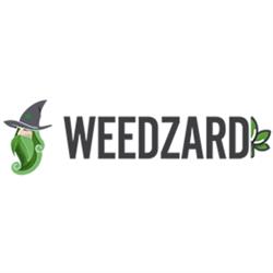 Weedzard, Roma orari di apertura